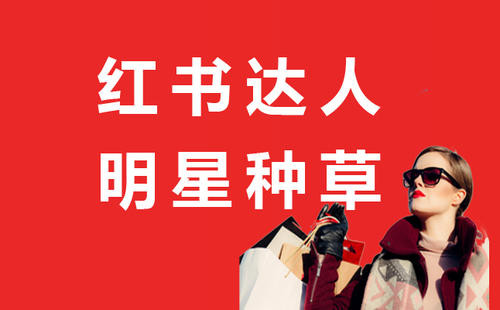 小紅書收錄不了原因（小紅書發布20分鐘沒收錄）